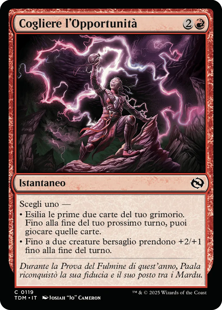 Cogliere l'Opportunità-C0119