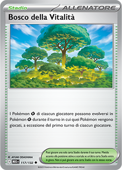 Bosco della Vitalità 	-	non comune	-	Near-mint	-	megaevoluzione	-	ita	-		117	-132