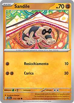 115/198-SVI-Sandile 	-	comune	-	Near-meat	-	scarlatto e violetto	-	ita