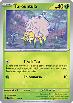 016/198-SVI-Tarountula 	-	comune	-	Near-meat	-	scarlatto e violetto	-	ita	-
